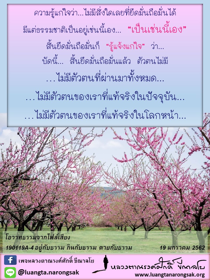 โอวาทธรรม Q1 2562 15 8 9 1