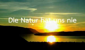 Die Natur hat uns nie