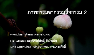 ภาพธรรม - รวมสื่อธรรม 2