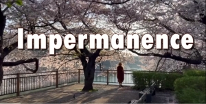 Impermanence (English Subtitle)