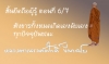 สิ้นยึดถือผู้รู้ ตอนที่ 6/7 สังขารทั้งหมดเกิดเองดับเองทุกปัจจุบันขณะ