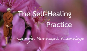 The Self-Healing Practice