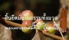 สิ้นยึดมั่นในธรรมทั้งมวล