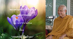 200413A3 ธรรมชาติรู้ รู้ในตัวเอง